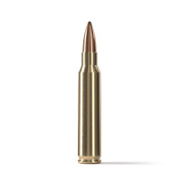 .223 Rem 55gr FMJ STV