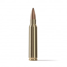 .223 Rem 55gr FMJ STV